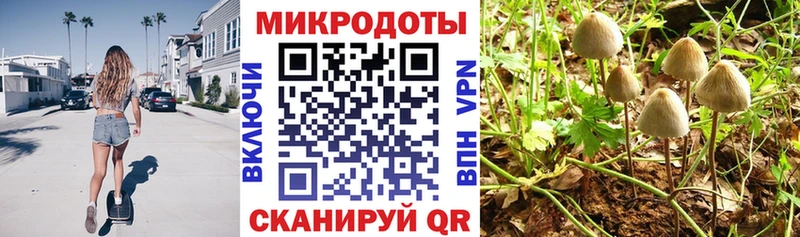 Галлюциногенные грибы Psilocybe  ОМГ ОМГ сайт  Морозовск 